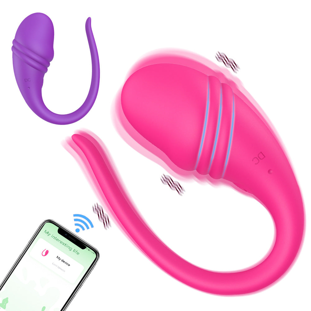 Vibrador Huevo de Hegel