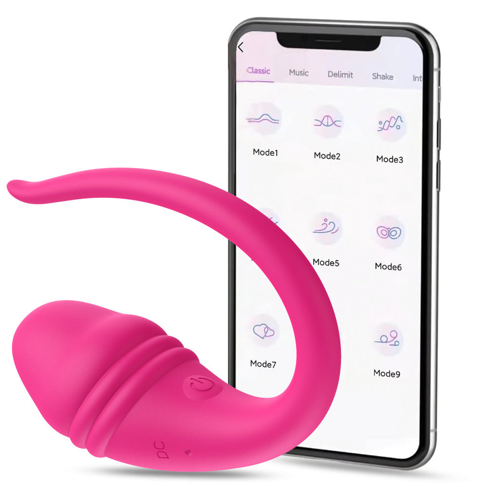 Vibrador Huevo de Hegel